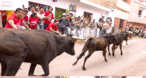 PAMPLONADA EN PACHACÁMAC