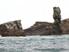 «El Callao te espera: Aventuras únicas en las Islas Cavinzas e Islotes Palomino»