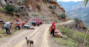 Foncodes: realizan trabajos de mantenimiento de caminos en 26 centros poblados de Pasco