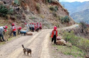 Foncodes: realizan trabajos de mantenimiento de caminos en 26 centros poblados de Pasco
