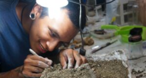 Delfín Pebanista Yacuruna, hallado por paleontólogos sanmarquinos, obtiene título de Récord Guinness