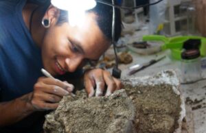 Delfín Pebanista Yacuruna, hallado por paleontólogos sanmarquinos, obtiene título de Récord Guinness