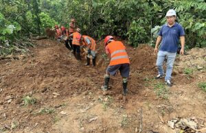 San Martín: Foncodes programa del Midis ejecuta trabajos de mantenimiento vial en 12 zonas rurales