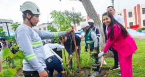 Pueblo Libre inauguró el Festival Ciudades Verdes 2024 para promover la forestería urbana y fortalecer la resiliencia climática
