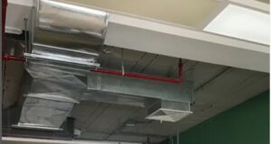 ‘Agricooltores’ gana medida cautelar en Indecopi antes usurpación de nombre