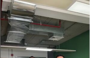 ‘Agricooltores’ gana medida cautelar en Indecopi antes usurpación de nombre