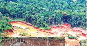 Ecuador nos invade: Minería ilegal toma Cordillera del Cóndor y extrae nuestro oro