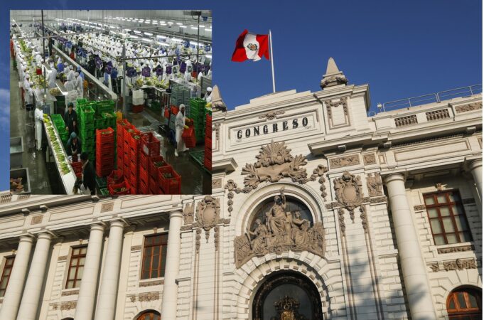 Fujimoristas se tiran dos mil millones: Congreso legisla a favor de las agroexportadoras