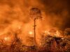INFORME: Incendios forestales y deforestación en la Amazonía peruana