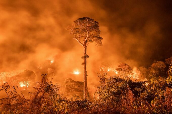INFORME: Incendios forestales y deforestación en la Amazonía peruana