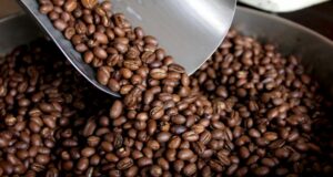 El Café de Calidad que Conquista el Mundo