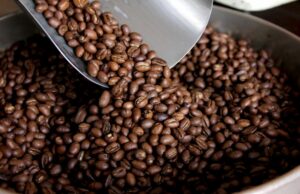 El Café de Calidad que Conquista el Mundo