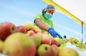 Consumir alimentos con pesticidas podría conllevar a alteraciones hormonales y un tipo de cáncer, advierte especialista .