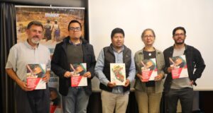 Proponen cambios sustanciales en la minería artesanal