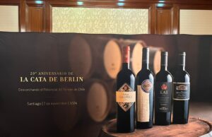 Viña Errazuriz: Conoce los vinos chilenos más icónicos y premiados de las últimas décadas