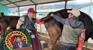 Ingenieros alimentarios reconocidos como profesionales de la salud reforzarán la vigilancia alimentaria en programas sociales