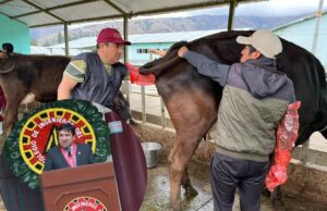 Ingenieros alimentarios reconocidos como profesionales de la salud reforzarán la vigilancia alimentaria en programas sociales