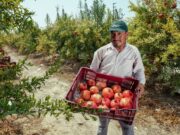 MIDAGRI: Embalse Cardos garantizará el recurso hídrico para la región Tacna