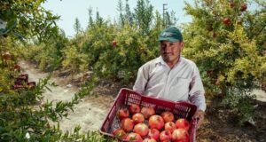 MIDAGRI: Embalse Cardos garantizará el recurso hídrico para la región Tacna