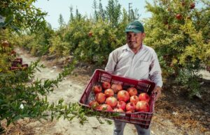 MIDAGRI: Embalse Cardos garantizará el recurso hídrico para la región Tacna