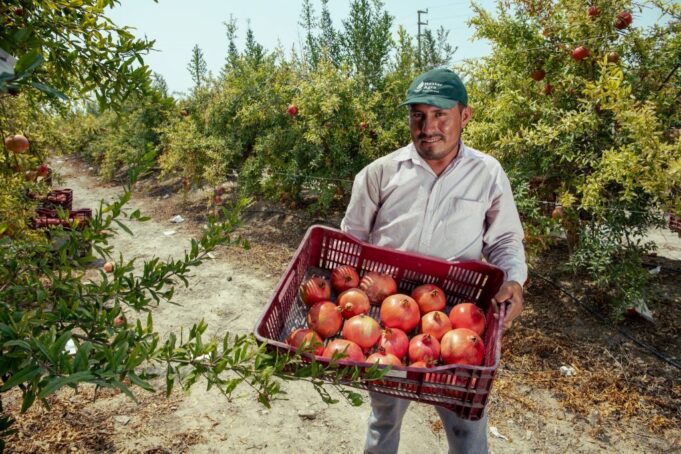 MIDAGRI: Embalse Cardos garantizará el recurso hídrico para la región Tacna