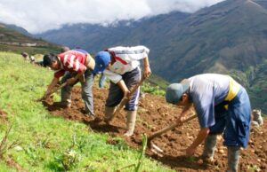 Agricultores sin fondo:“Ley Chlimper 2.0” elimina el financiamiento a pequeña agricultura