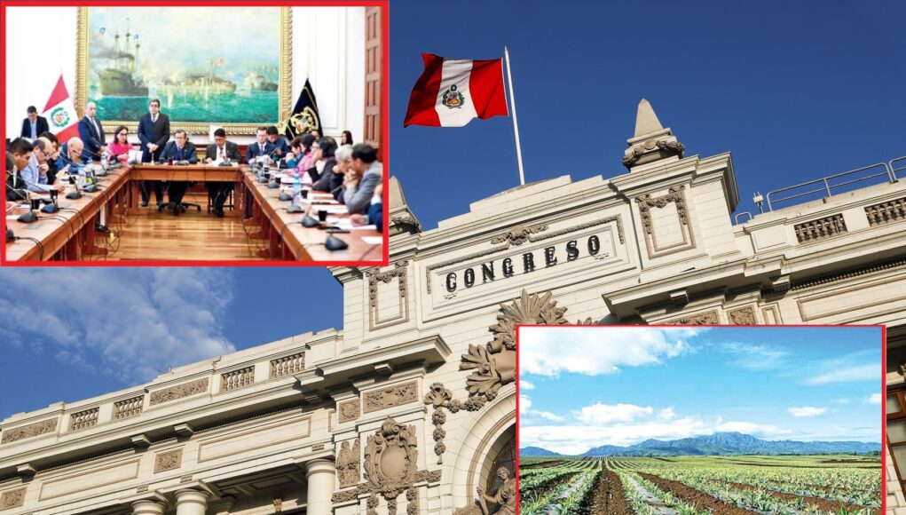 Nuevo dictamen de Ley Agraria regala terrenos del Estado a grandes empresas