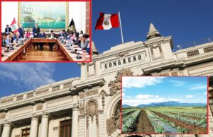 Nuevo dictamen de Ley Agraria regala terrenos del Estado a grandes empresas