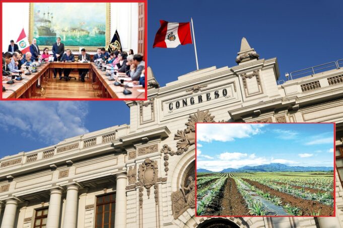 Nuevo dictamen de Ley Agraria regala terrenos del Estado a grandes empresas