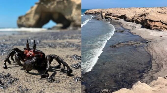 Emergencia Piura: alertan derrame de petróleo en playas del distrito de Lobitos