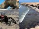 Emergencia Piura: alertan derrame de petróleo en playas del distrito de Lobitos