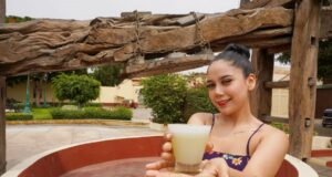 Día Nacional del Pisco Sour: Ica celebra efeméride con degustaciones gratuitas y concursos