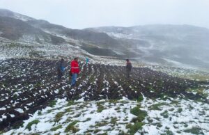 Programa PAIS: 508 Tambos preparados para la atención en emergencias por lluvias intensas y bajas temperaturas