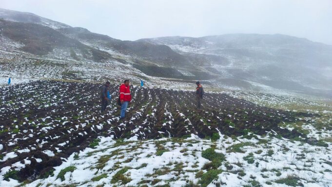 Programa PAIS: 508 Tambos preparados para la atención en emergencias por lluvias intensas y bajas temperaturas