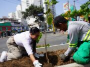 Pueblo Libre ocupa el tercer lugar en ejecución presupuestal en obras públicas en Lima Metropolitana