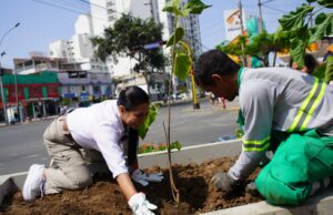 Pueblo Libre ocupa el tercer lugar en ejecución presupuestal en obras públicas en Lima Metropolitana