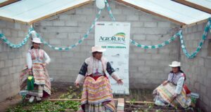 Gobierno implementó cobertizos para el resguardo de más de 391 mil cabezas de ganado con durabilidad de 20 años