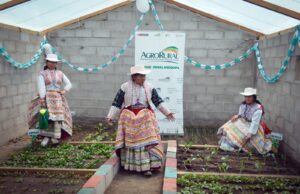 Gobierno implementó cobertizos para el resguardo de más de 391 mil cabezas de ganado con durabilidad de 20 años