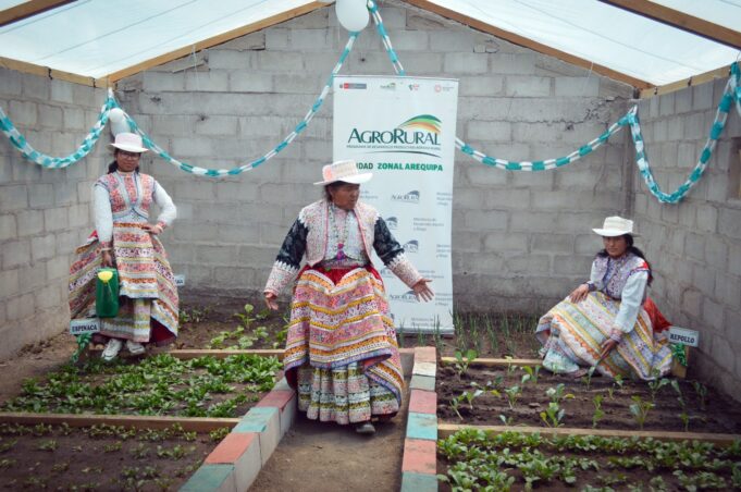 Gobierno implementó cobertizos para el resguardo de más de 391 mil cabezas de ganado con durabilidad de 20 años
