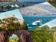 ¡HOY último día para votar por Perú! Cinco atractivos naturales postulan a premios Green Destinations 2025