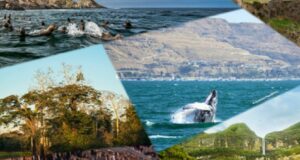 ¡HOY último día para votar por Perú! Cinco atractivos naturales postulan a premios Green Destinations 2025