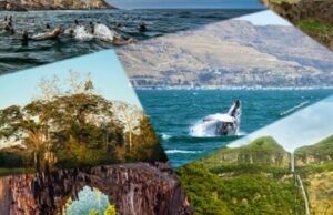 ¡HOY último día para votar por Perú! Cinco atractivos naturales postulan a premios Green Destinations 2025