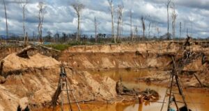 Minería ilegal genera daños al ecosistema y trae consigo el crimen organizado