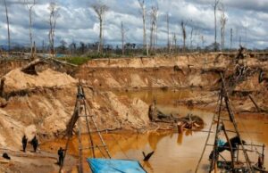 Minería ilegal genera daños al ecosistema y trae consigo el crimen organizado