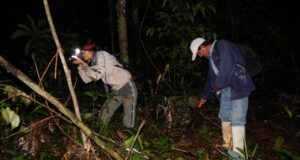 Mercado de carbono y cambio climático: Perú inicia acreditación de estándares internacionales para la reducción de emisiones.