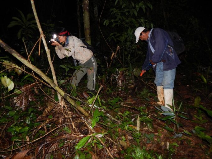 Mercado de carbono y cambio climático: Perú inicia acreditación de estándares internacionales para la reducción de emisiones.