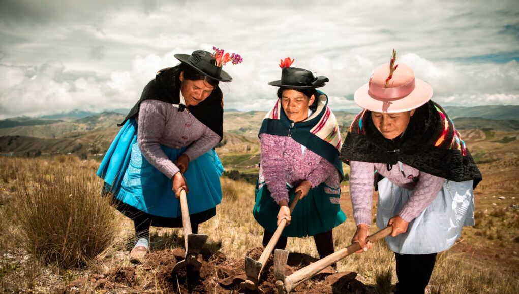 Perú recibe premio internacional por liderazgo en desarrollo rural sostenible