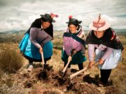 Perú recibe premio internacional por liderazgo en desarrollo rural sostenible