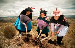 Perú recibe premio internacional por liderazgo en desarrollo rural sostenible