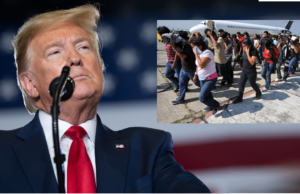 Más de 140 connacionales arribaron al Grupo Aéreo Nº 8 al Perú tras ser deportados de Estados Unidos